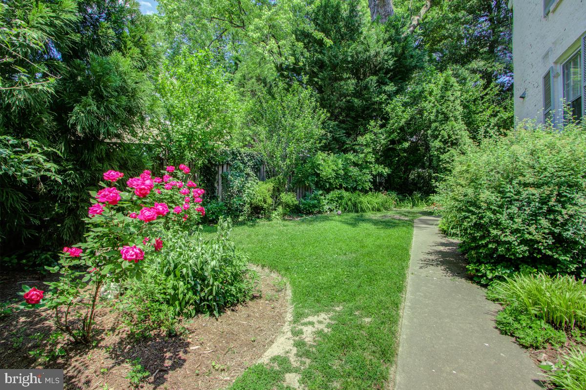 6101 Broad Branch Road Northwest Washington, DC 20015 - Photo 40 of 40 Side yard