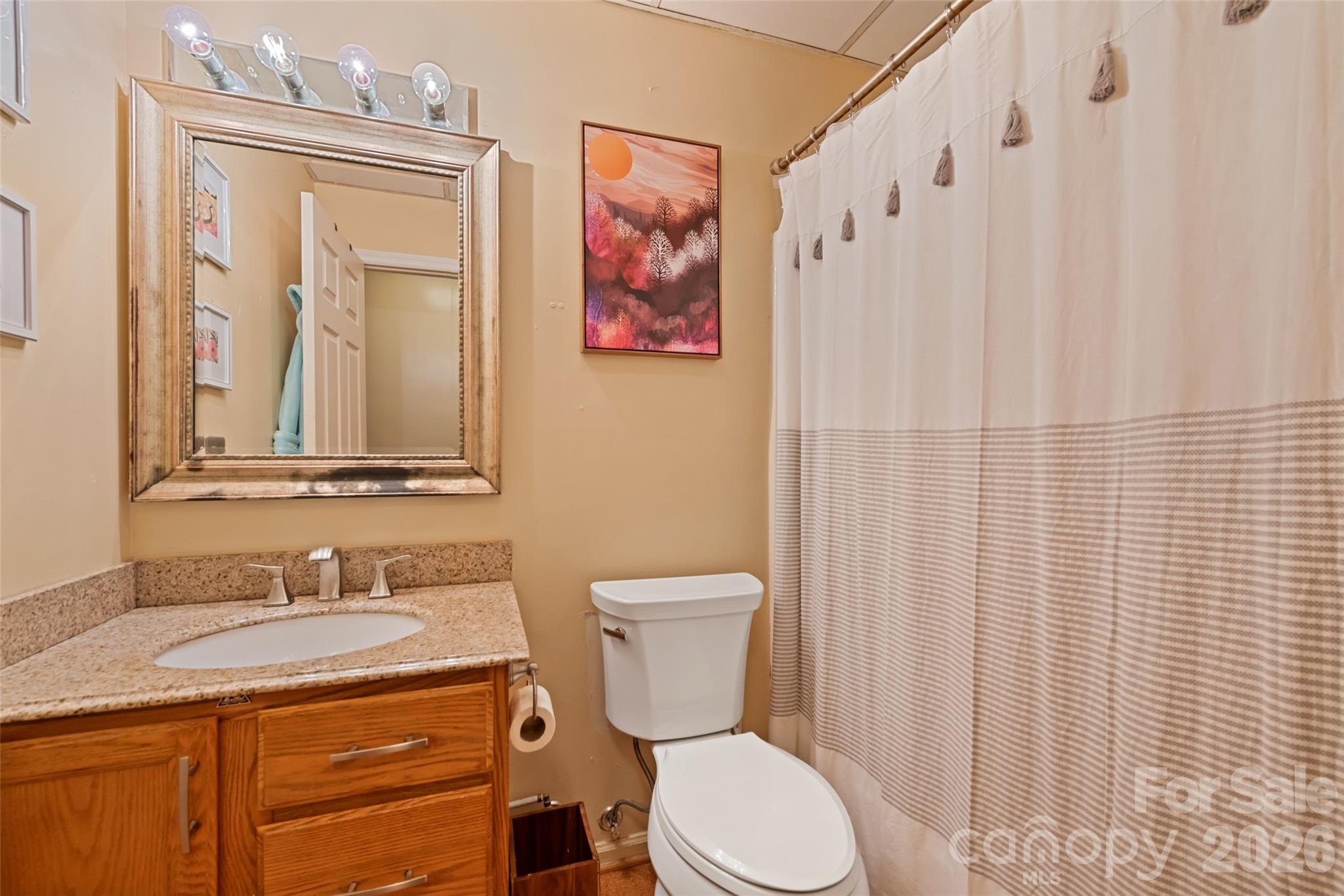 12 Shady Lane Candler, NC 28715 - Photo 18 of 21 a bathroom with a granite countertop toilet sink and mirror