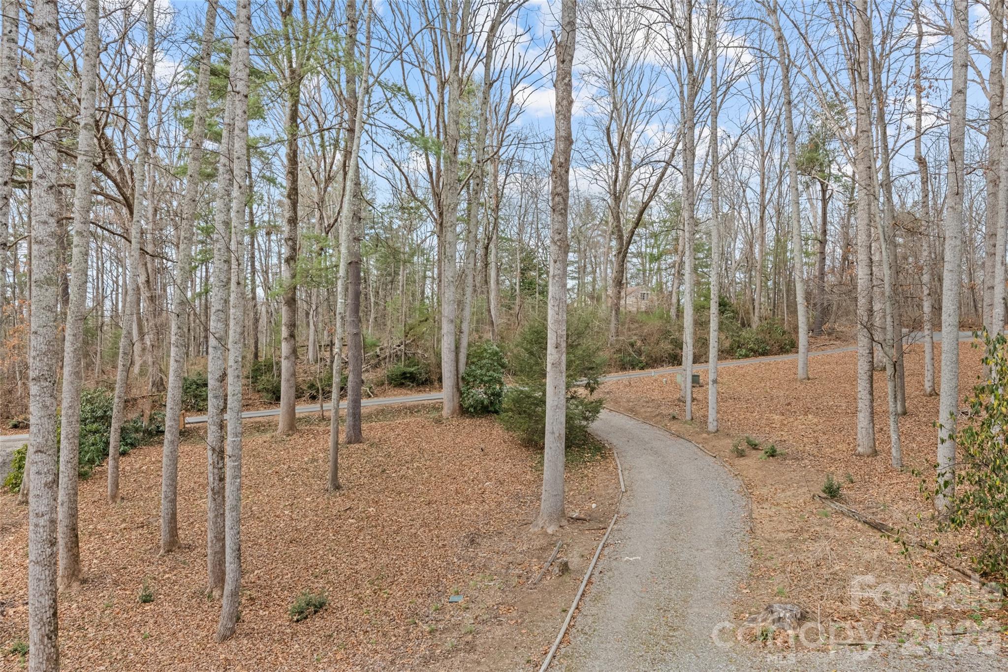 12 Shady Lane Candler, NC 28715 - Photo 2 of 21 a view of a park with a tree