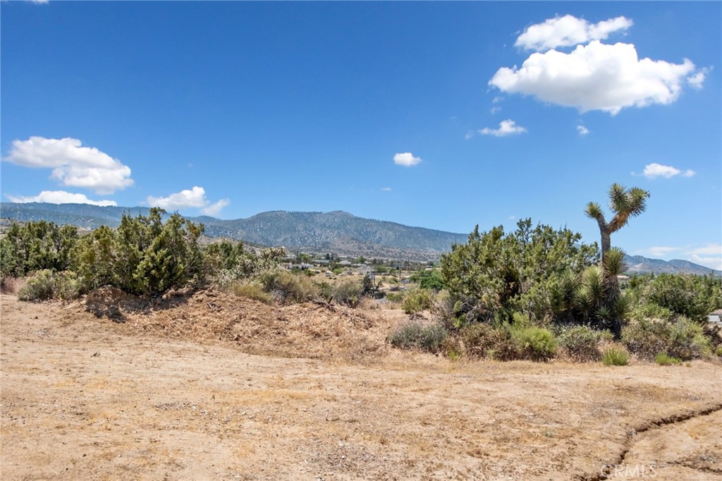 8837 Malpaso Road Phelan, CA 92371 - Photo 47 of 72