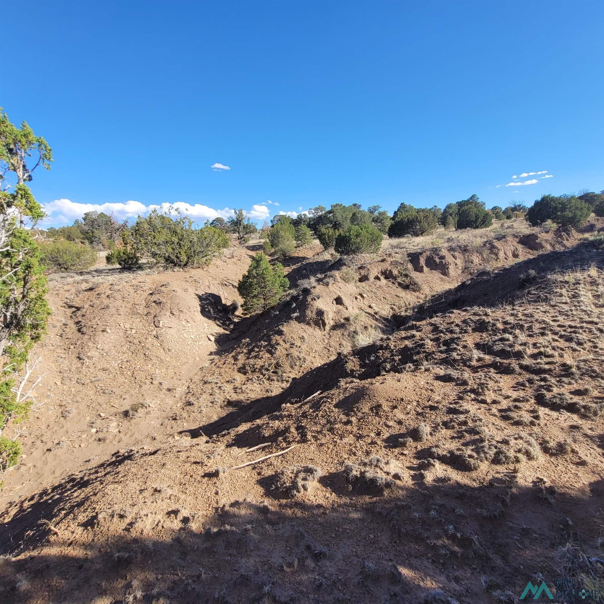 90 Lots 90 And 91 Canyon Drive Datil, NM 87821 - Photo 19 of 26 Gallery Image 19