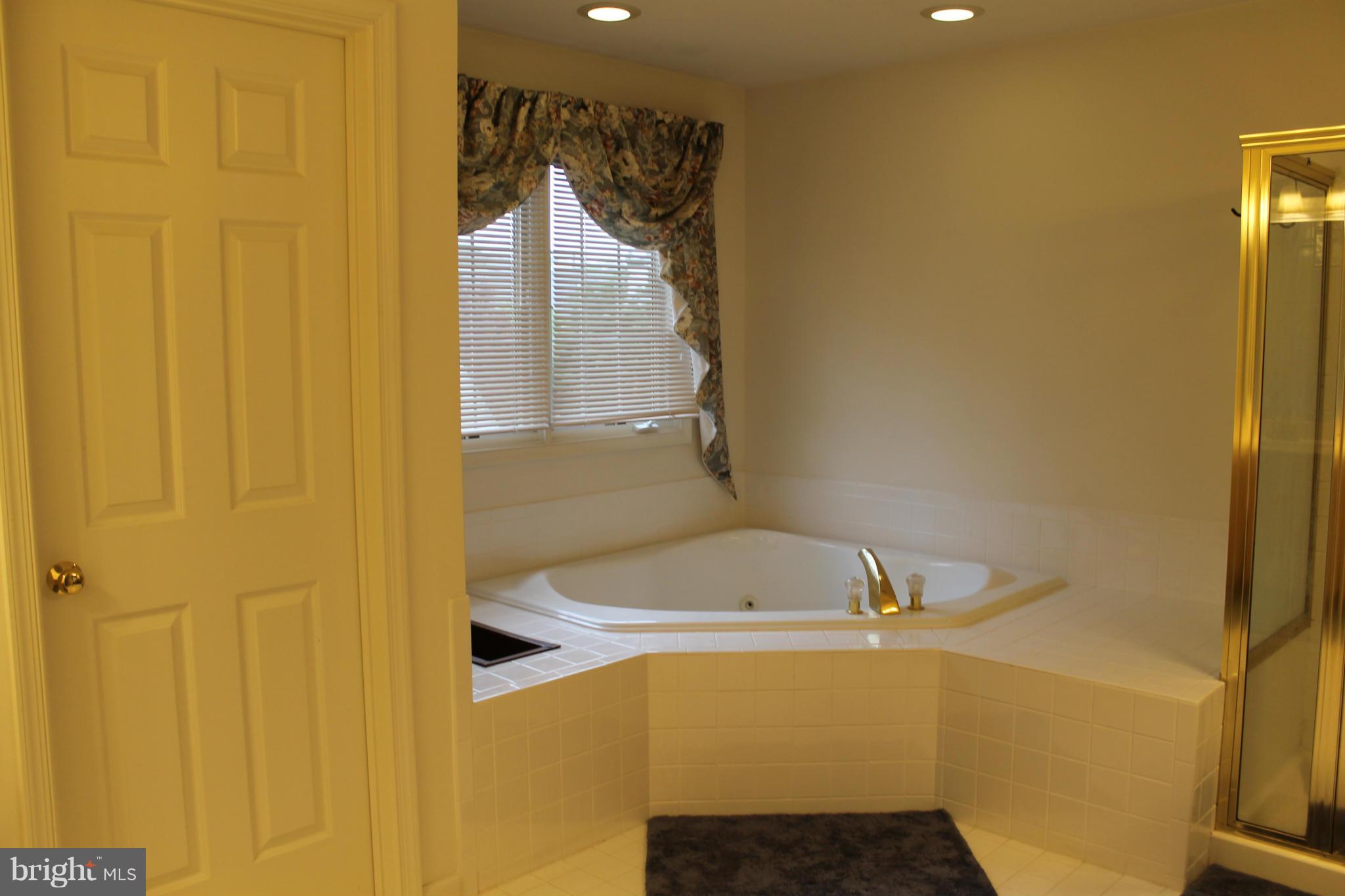 8311 Larkmeade Terrace Potomac, MD 20854 - Photo 20 of 30 Bath (Master)