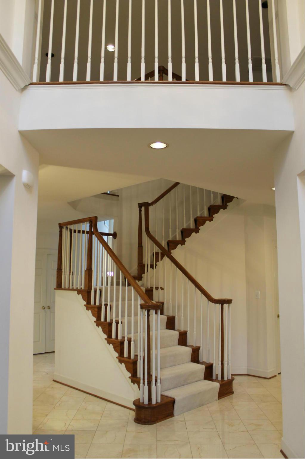 8311 Larkmeade Terrace Potomac, MD 20854 - Photo 7 of 30 Beautiful Foyer