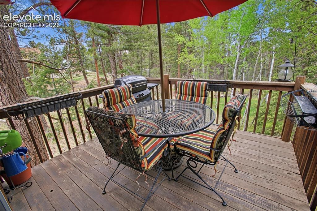 877 North Mountain Estates Road Florissant, CO 80816 - Photo 6 of 23 a view of a two chairs on the roof deck