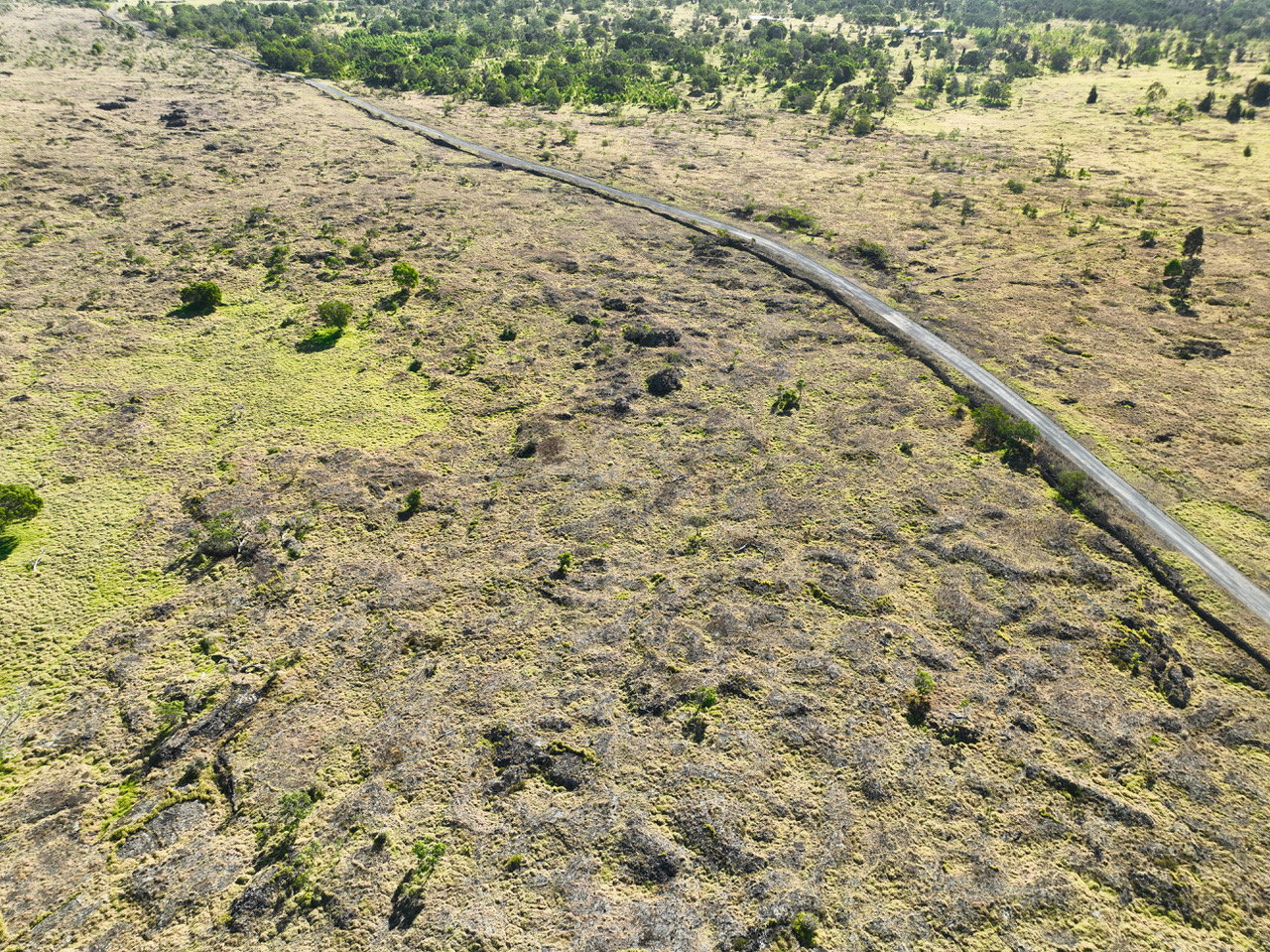 15 B Street Captain Cook, HI 96704 - Photo 11 of 18 a view of yard with large trees