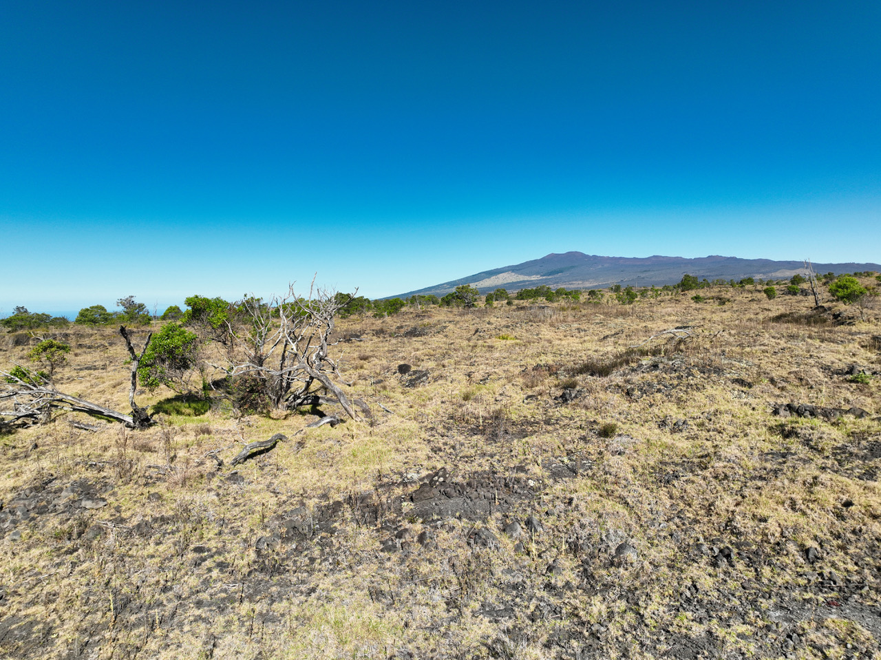 15 B Street Captain Cook, HI 96704 - Photo 13 of 18 a view of an ocean