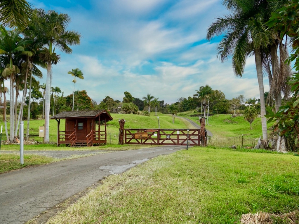 15 B Street Captain Cook, HI 96704 - Photo 18 of 18 a view of a house with a big yard and palm trees