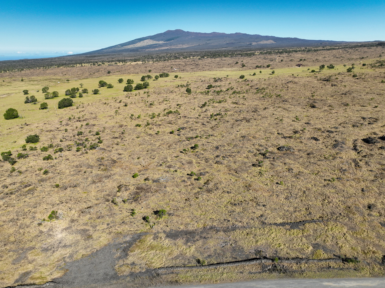 15 B Street Captain Cook, HI 96704 - Photo 6 of 18 a view of a dry yard with wooden floor