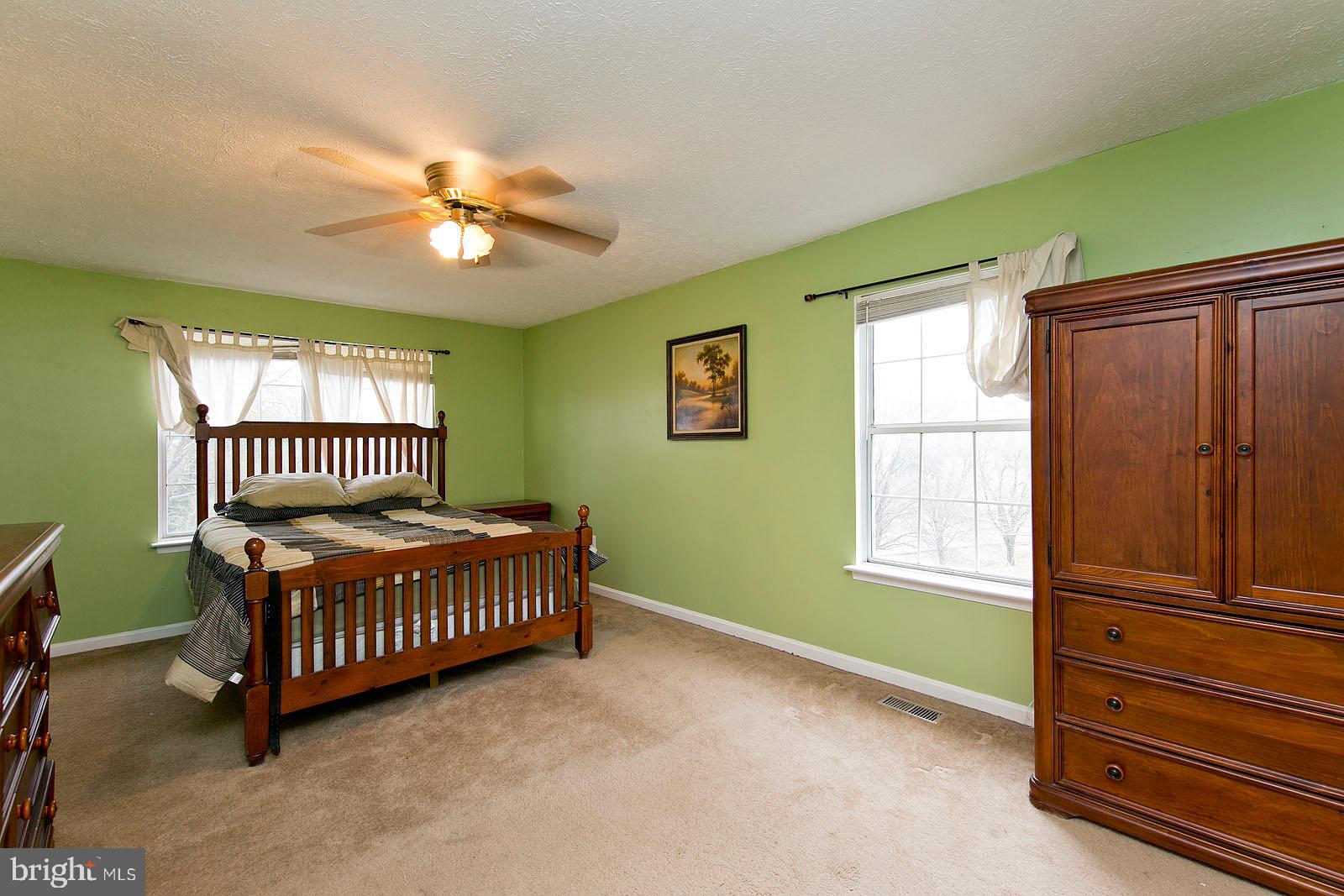 105 Alpine Meadow Road Winchester, VA 22602 - Photo 32 of 47 Master bedroom