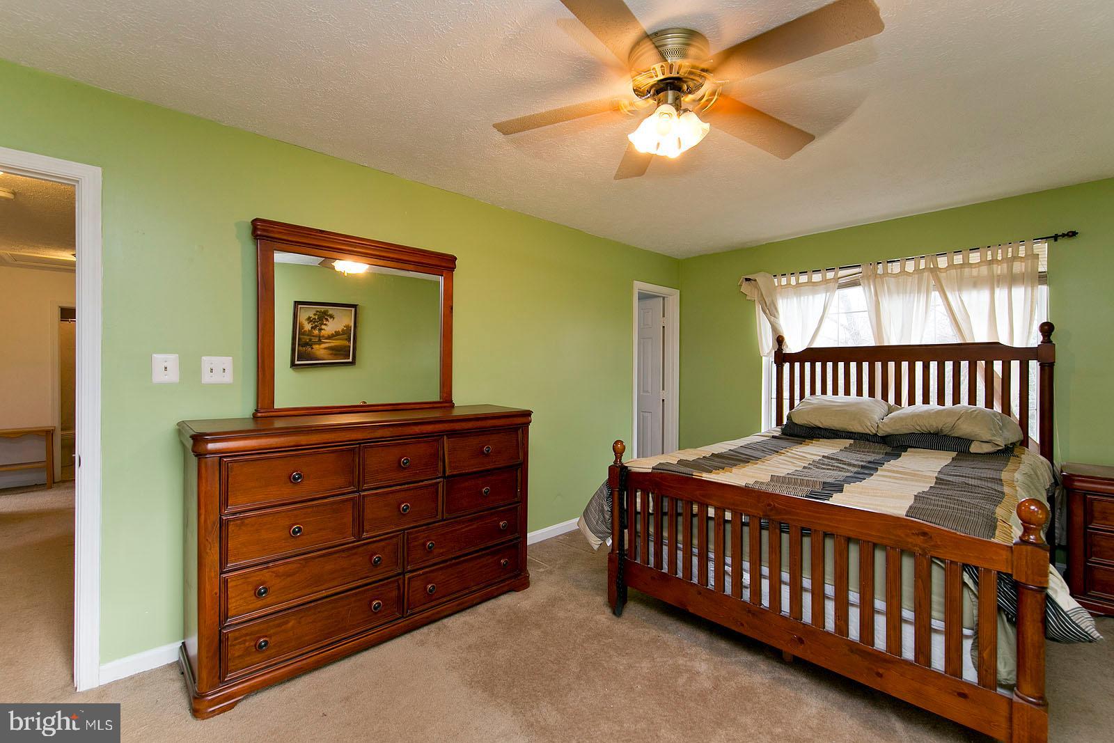 105 Alpine Meadow Road Winchester, VA 22602 - Photo 33 of 47 Master bedroom