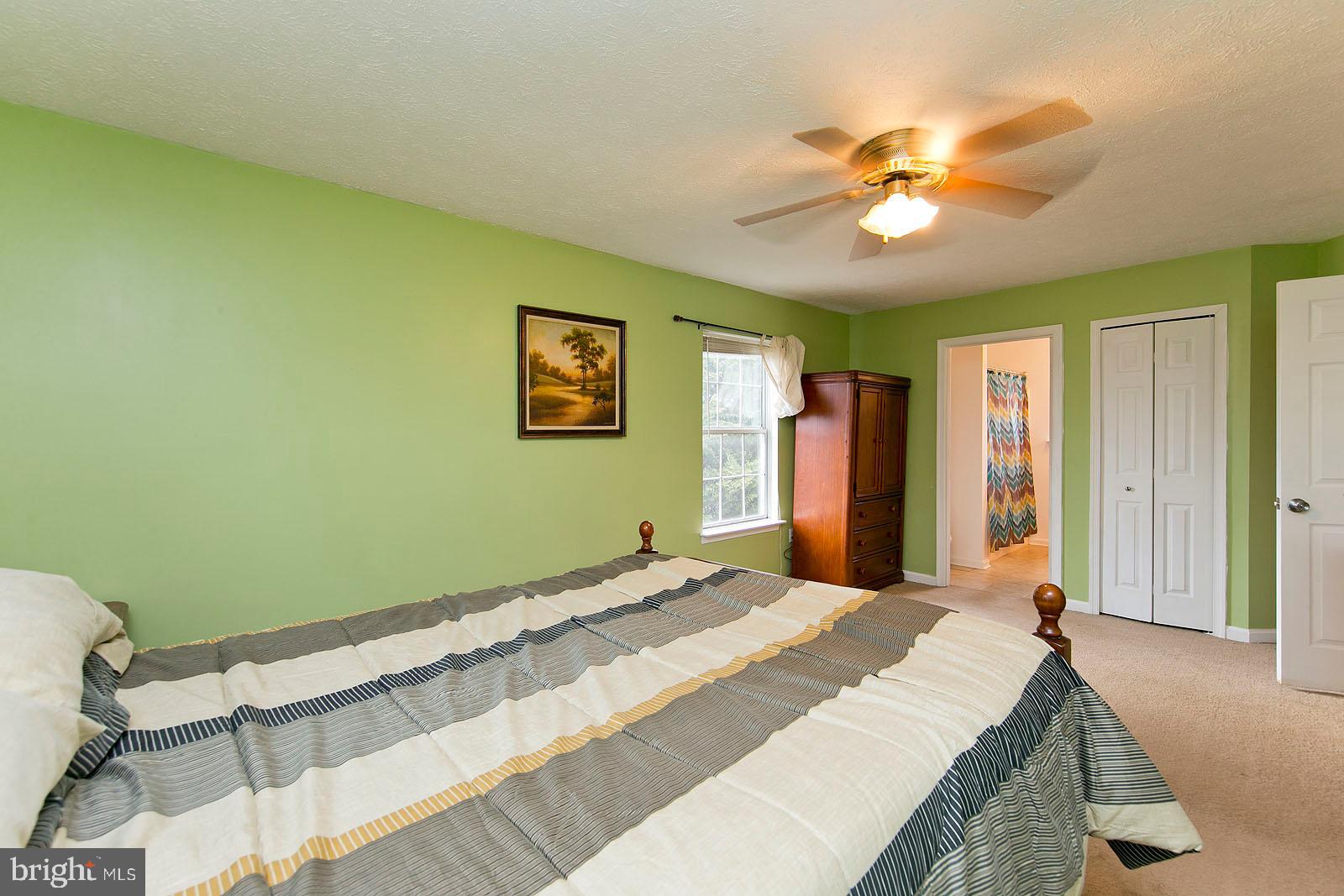 105 Alpine Meadow Road Winchester, VA 22602 - Photo 34 of 47 Master Bedroom
