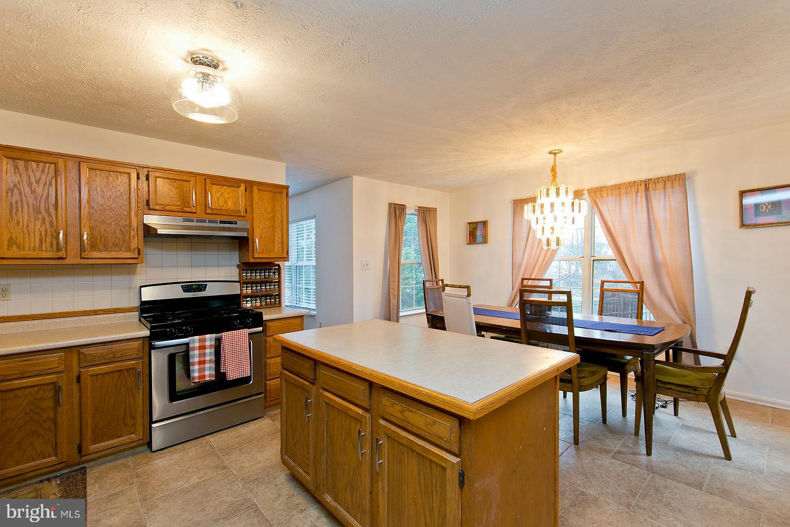 105 Alpine Meadow Road Winchester, VA 22602 - Photo 10 of 47 kitchen