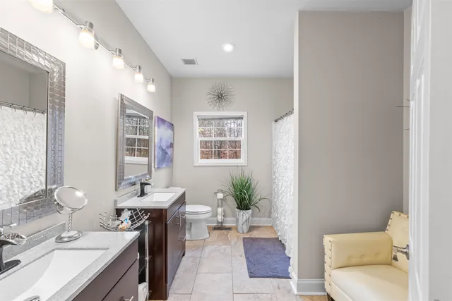 a living room with furniture a potted plant and a toilet