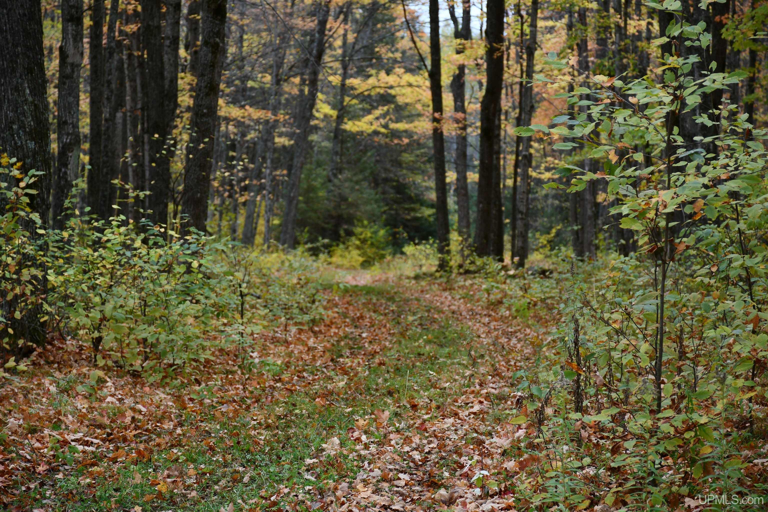 Tbd County Line Road Foster City, MI 49834 - Photo 22 of 56