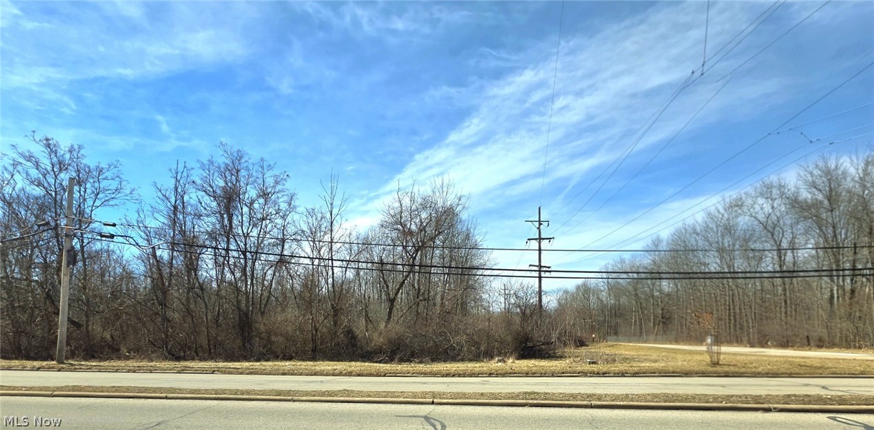 1251 Jacobs Road Youngstown, OH 44505 - Photo 4 of 6 Wooded lot