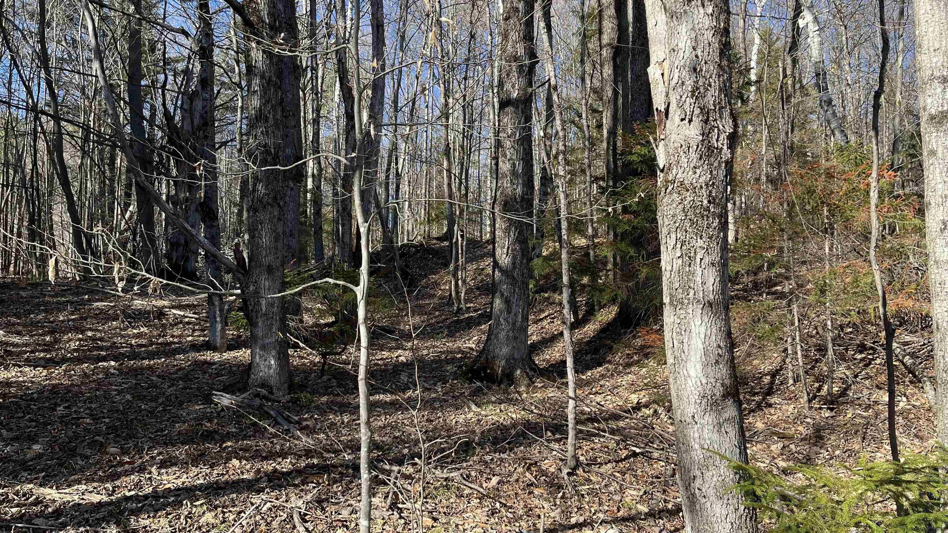 Dix Hill Road, Unit 23 Ludlow, VT 05149 - Photo 8 of 28