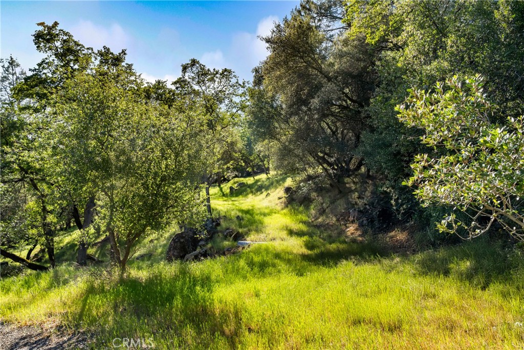 0 Iron Mine Road Auburn, CA 95602 - Photo 12 of 31