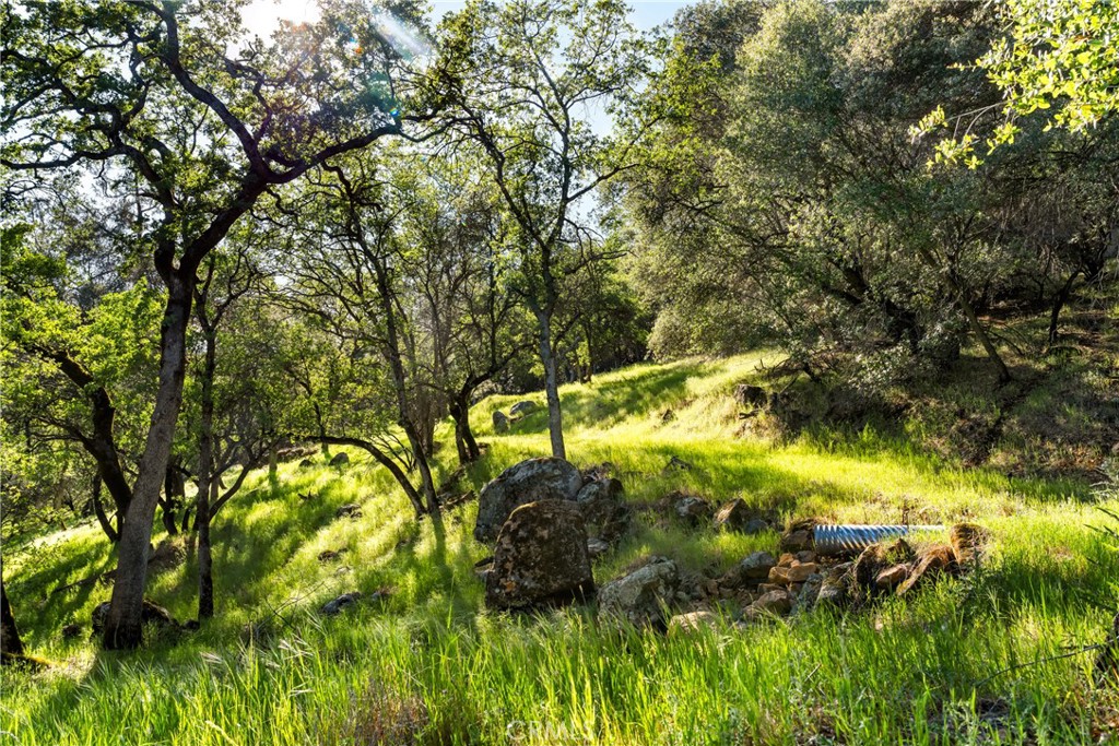 0 Iron Mine Road Auburn, CA 95602 - Photo 13 of 31