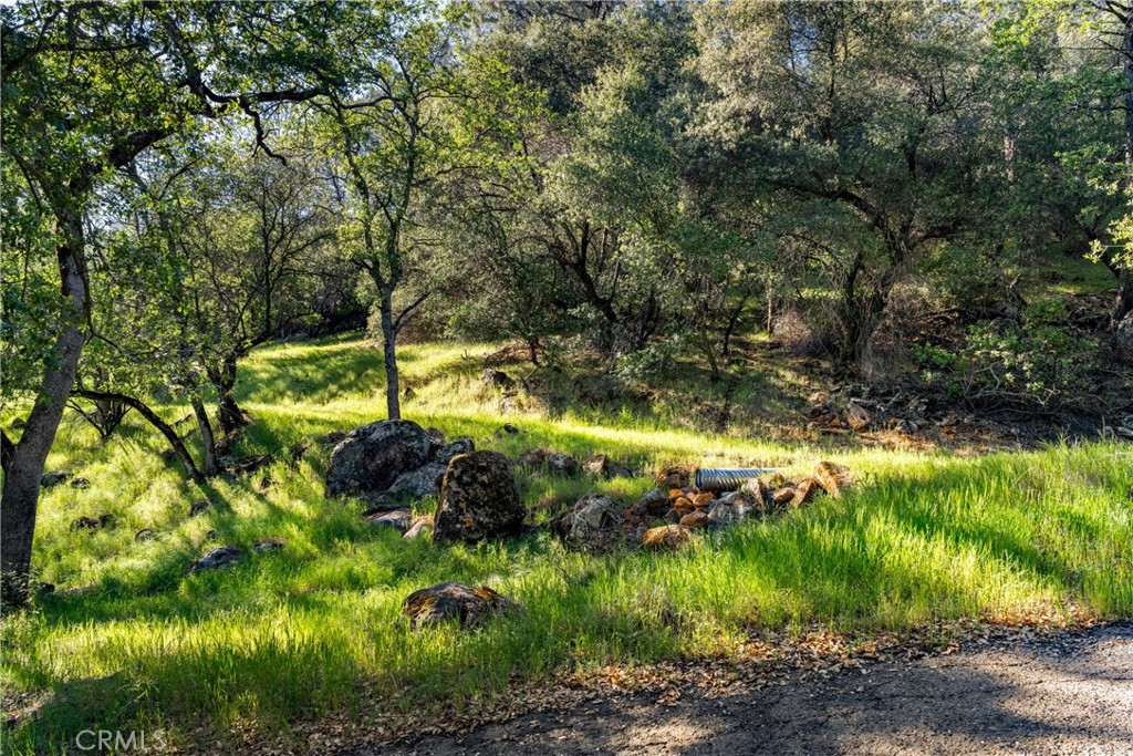0 Iron Mine Road Auburn, CA 95602 - Photo 14 of 31