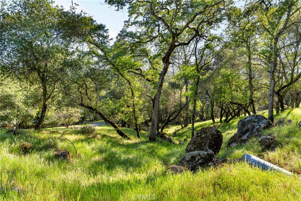 0 Iron Mine Road Auburn, CA 95602 - Photo 17 of 31