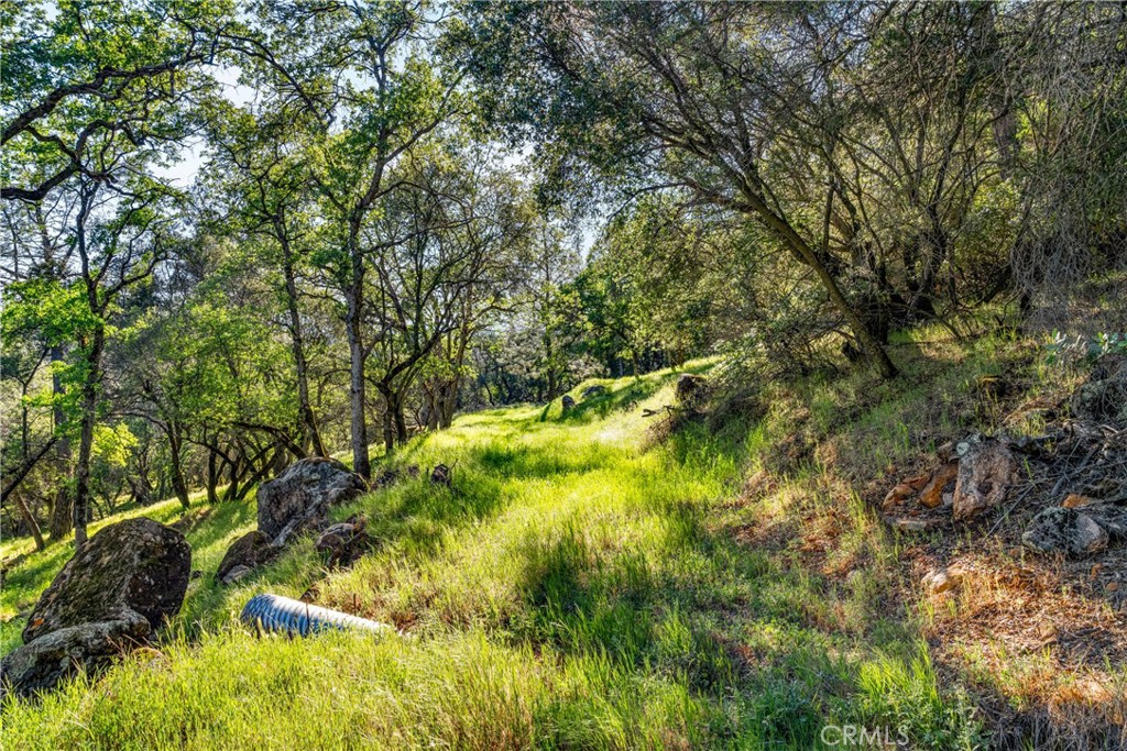 0 Iron Mine Road Auburn, CA 95602 - Photo 18 of 31