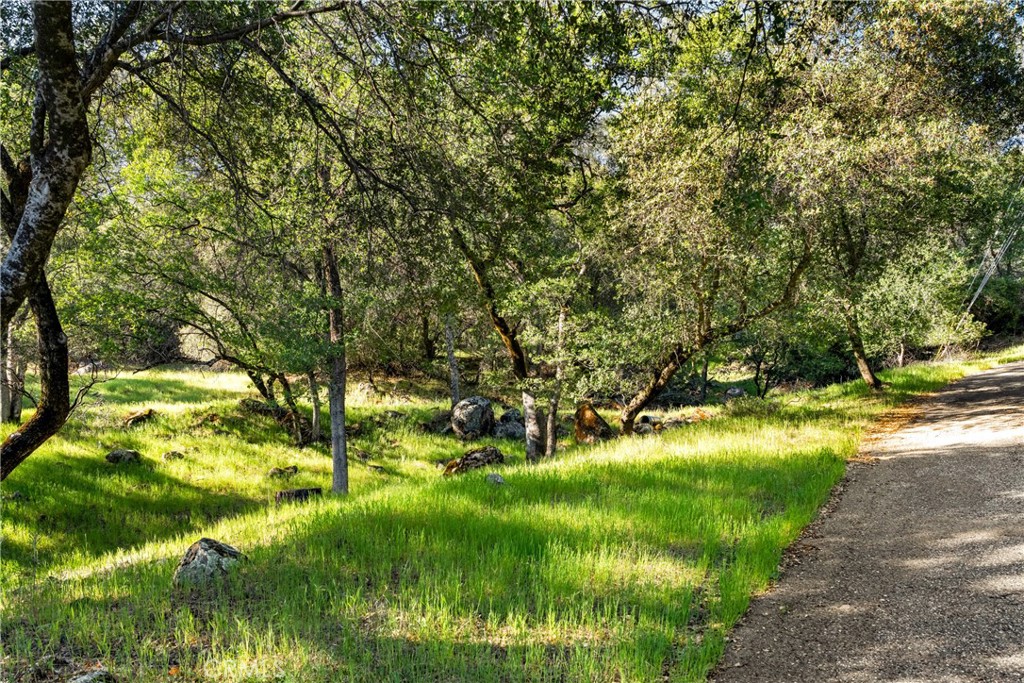 0 Iron Mine Road Auburn, CA 95602 - Photo 2 of 31