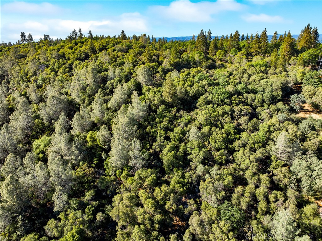 0 Iron Mine Road Auburn, CA 95602 - Photo 24 of 31