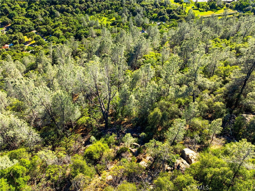 0 Iron Mine Road Auburn, CA 95602 - Photo 29 of 31