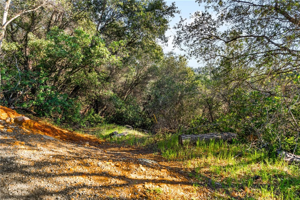 0 Iron Mine Road Auburn, CA 95602 - Photo 6 of 31