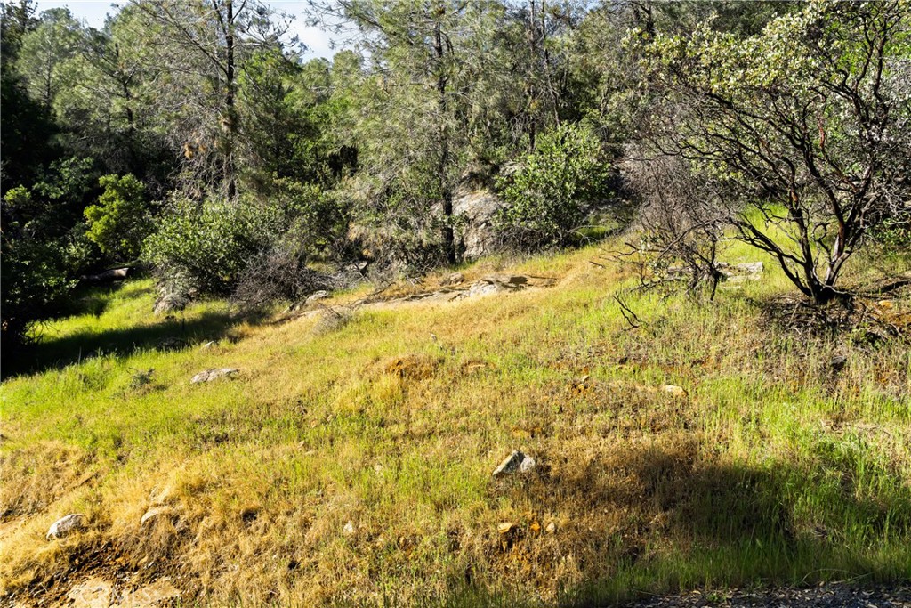 0 Iron Mine Road Auburn, CA 95602 - Photo 8 of 31 Gallery Image 8