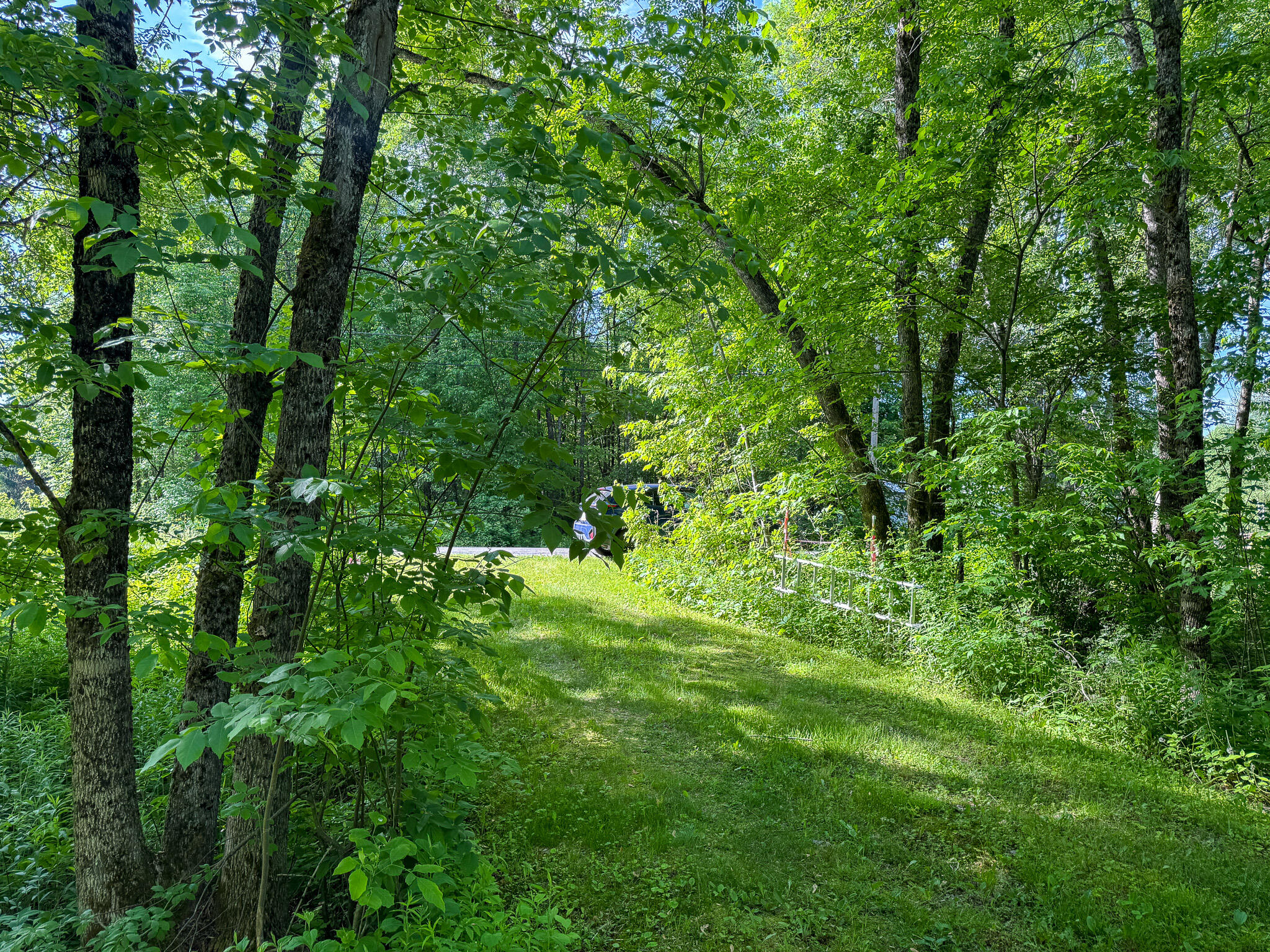 Tbd Mohawk Road Lincoln, ME 04457 - Photo 24 of 29 IMG_6010