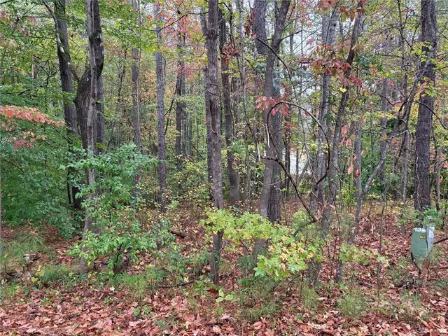 a view of a garden with plants and trees