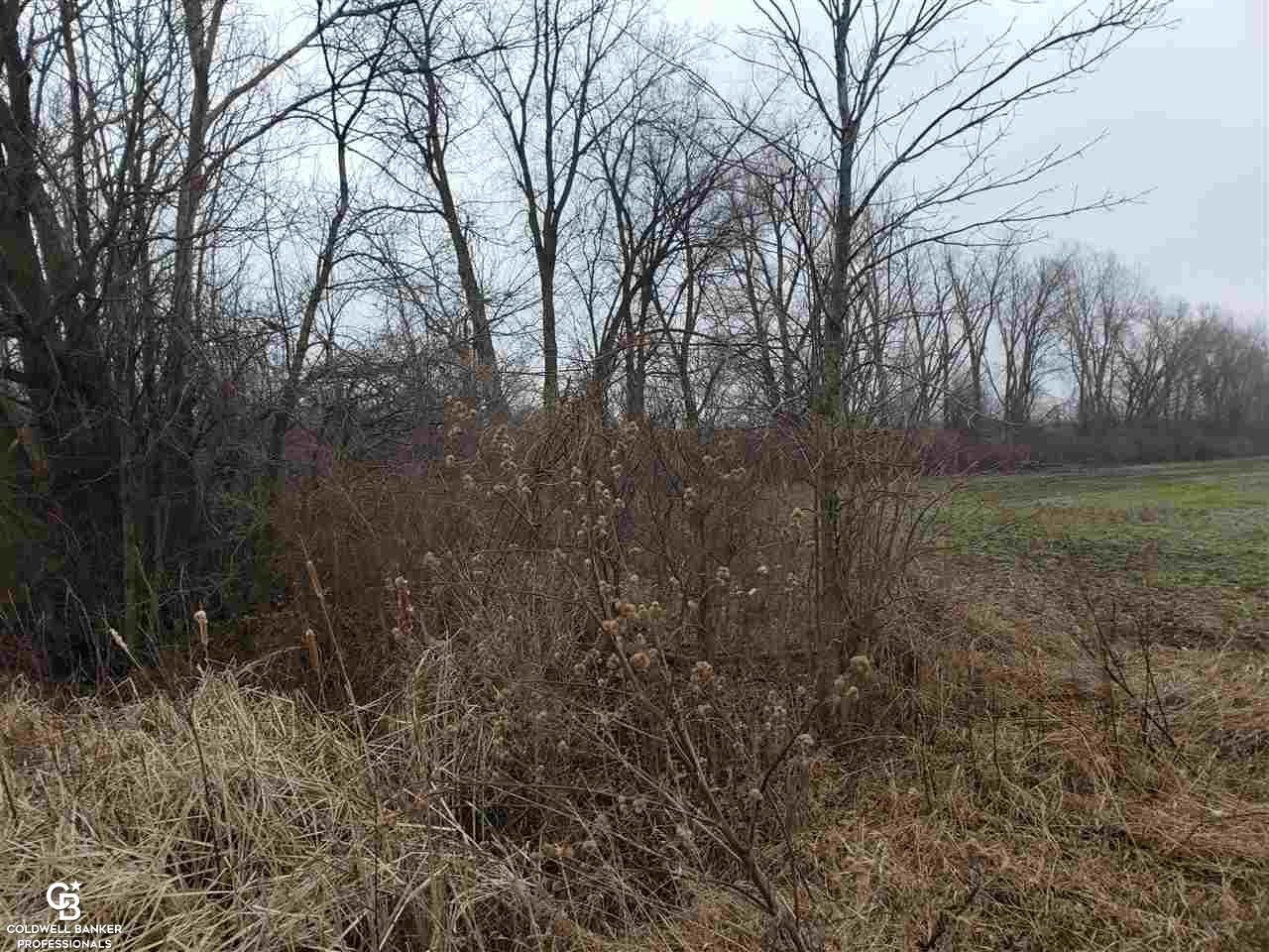 Rynn Rd Ville Emmett, MI 48022 - Photo 2 of 8 Gallery Image 2