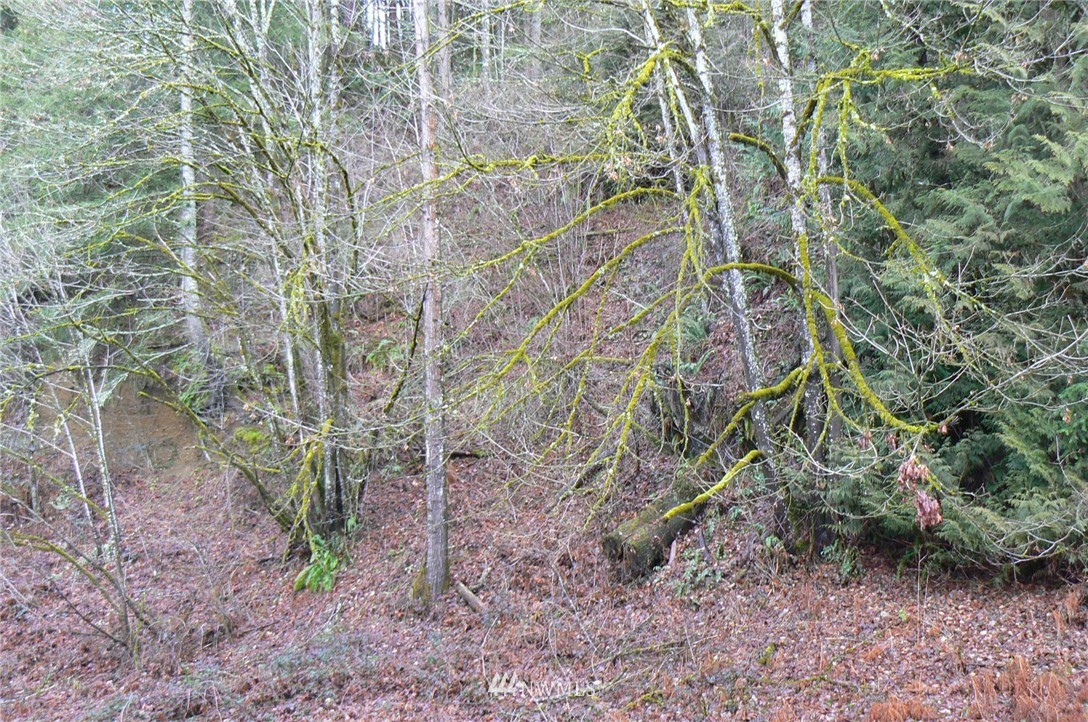 19-xxx Southeast Jones Road Renton, WA 98058 - Photo 2 of 11