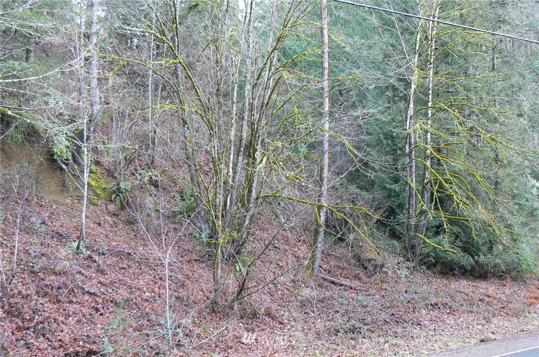 19-xxx Southeast Jones Road Renton, WA 98058 - Photo 3 of 11