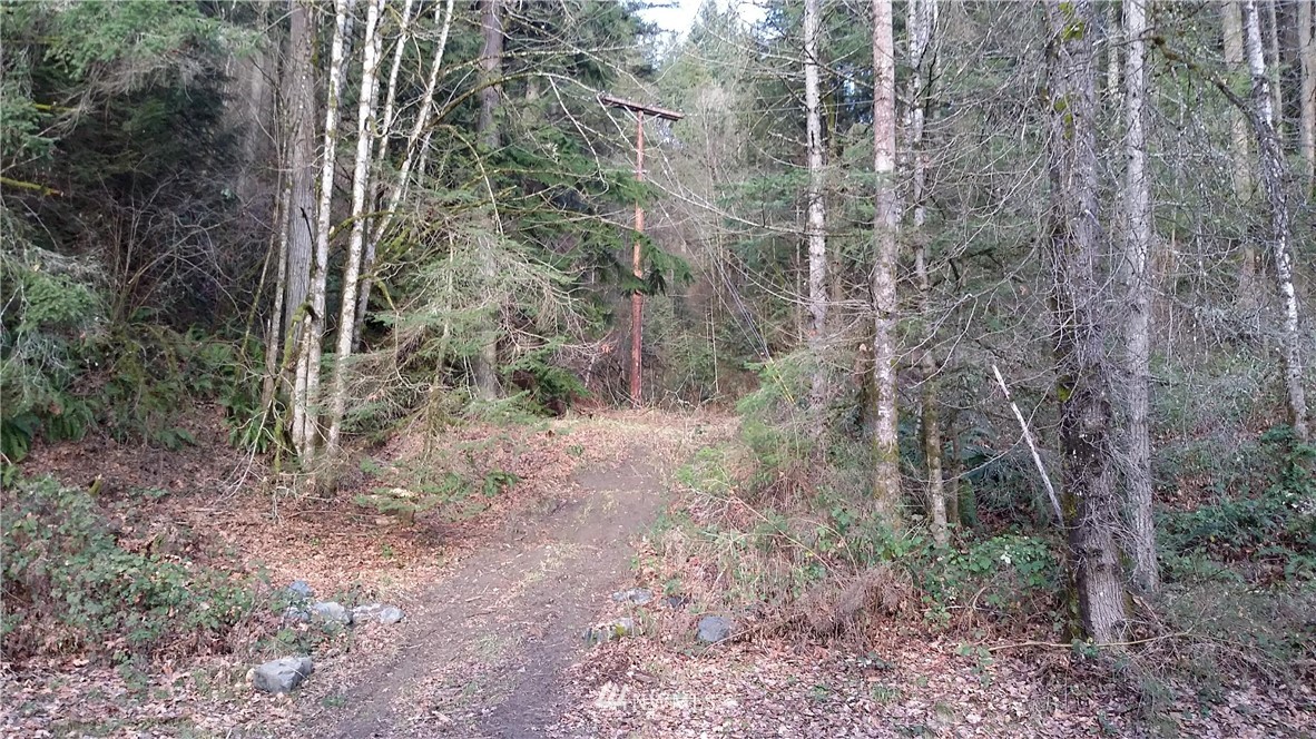19-xxx Southeast Jones Road Renton, WA 98058 - Photo 4 of 11