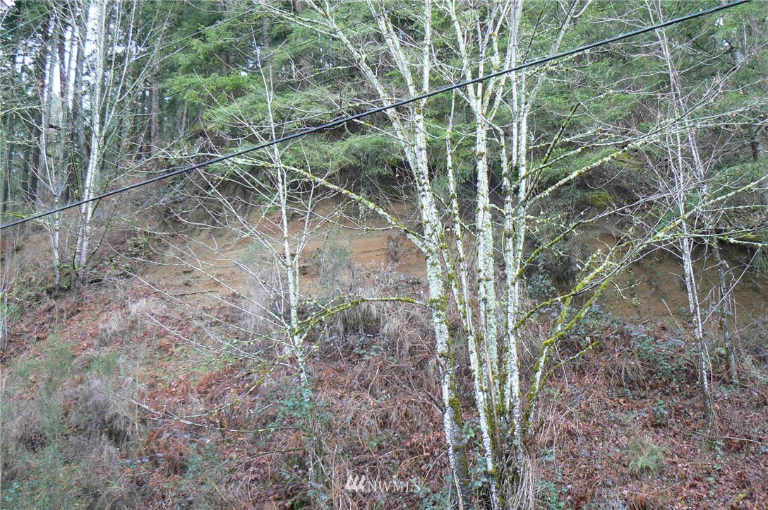 19-xxx Southeast Jones Road Renton, WA 98058 - Photo 5 of 11