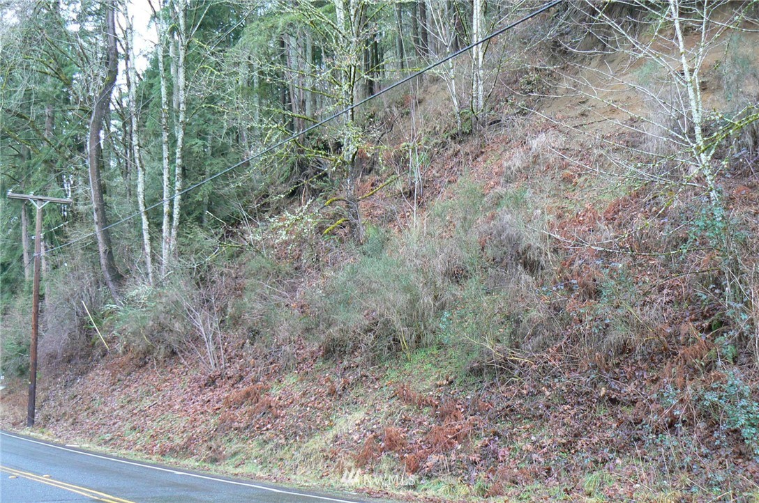 19-xxx Southeast Jones Road Renton, WA 98058 - Photo 6 of 11