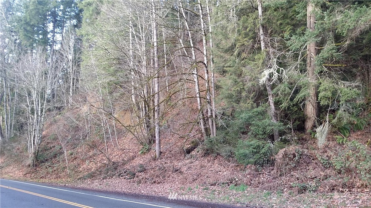 19-xxx Southeast Jones Road Renton, WA 98058 - Photo 7 of 11