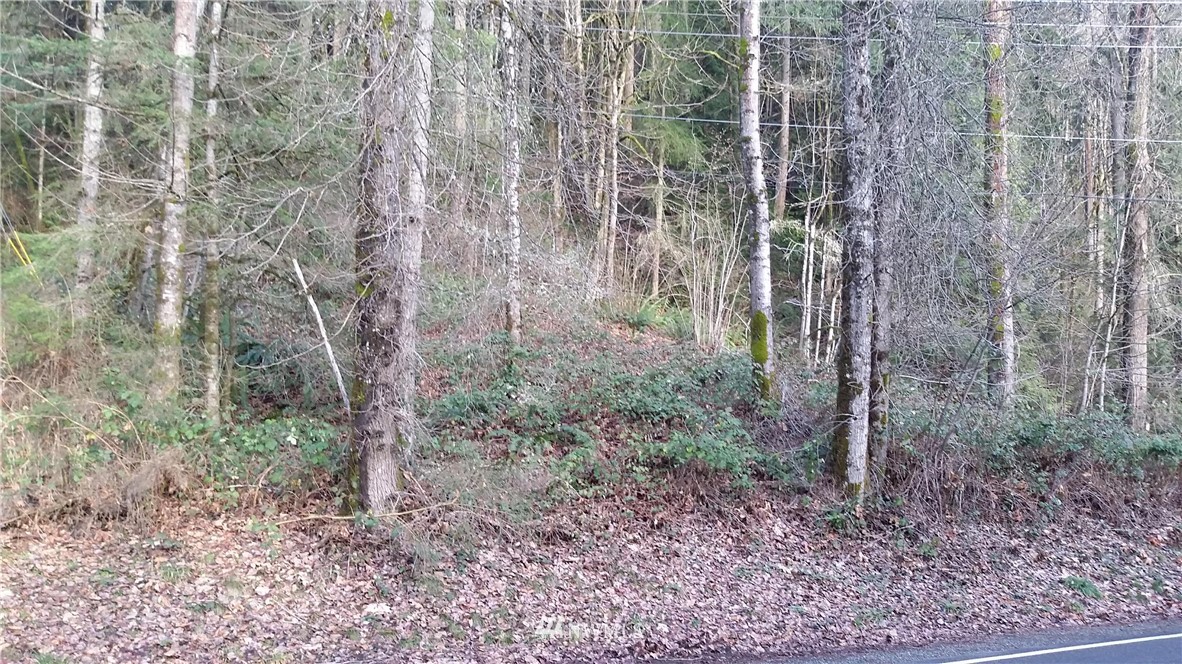 19-xxx Southeast Jones Road Renton, WA 98058 - Photo 9 of 11