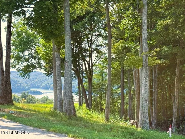 $49,900 | 41 B Bald Eagle Road, Celina, TN 38551