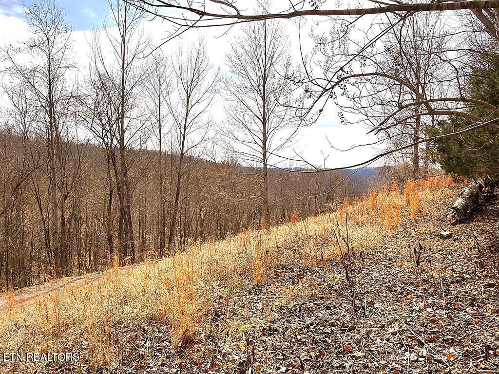 431 Bald Eagle Road Celina, TN 38551 - Photo 11 of 26 242745_10