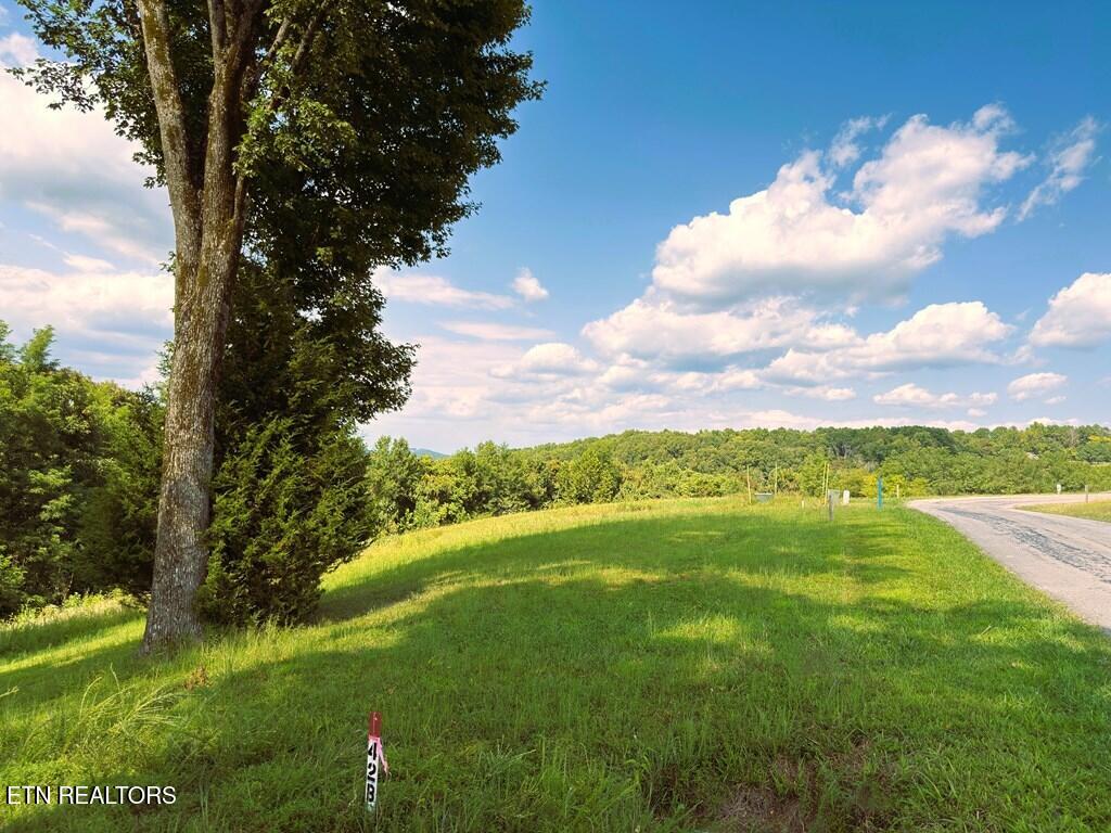 41 B Bald Eagle Road Celina, TN 38551 - Photo 17 of 34 239559_4