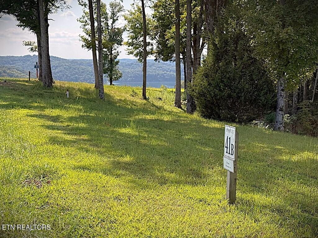 41 B Bald Eagle Road Celina, TN 38551 - Photo 2 of 34 239559_1