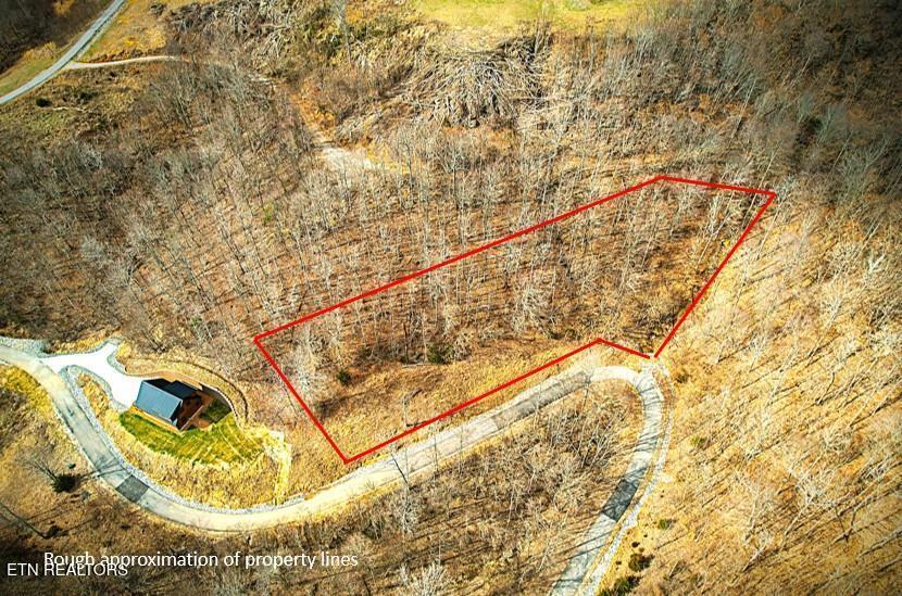 431 Bald Eagle Road Celina, TN 38551 - Photo 2 of 26 242745_1