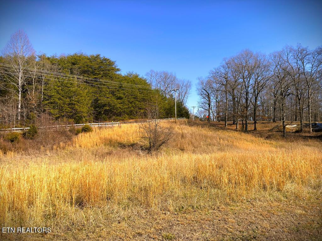 41 B Bald Eagle Road Celina, TN 38551 - Photo 29 of 34 234028_2