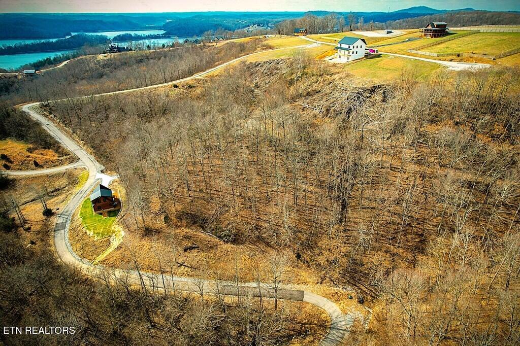 431 Bald Eagle Road Celina, TN 38551 - Photo 4 of 26 242745_3