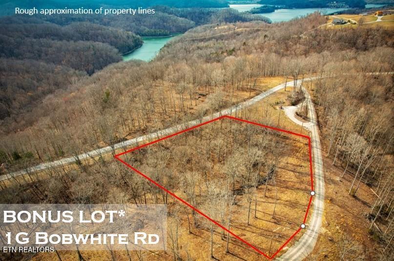 431 Bald Eagle Road Celina, TN 38551 - Photo 6 of 26 242745_5