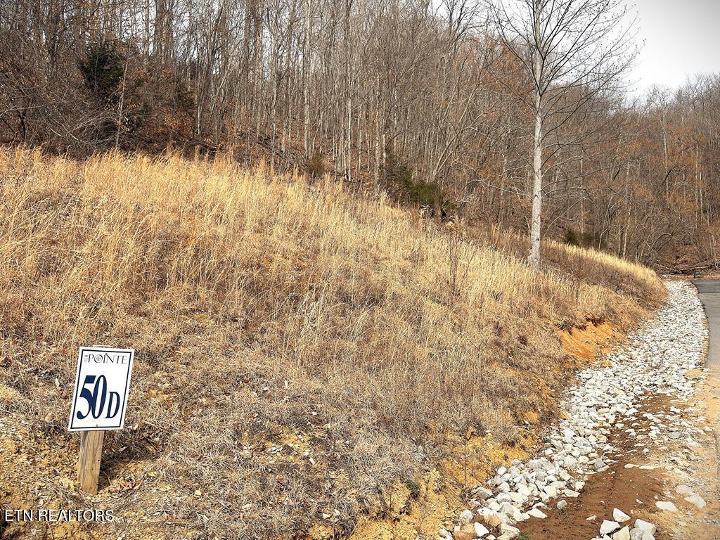 431 Bald Eagle Road Celina, TN 38551 - Photo 8 of 26 242745_7