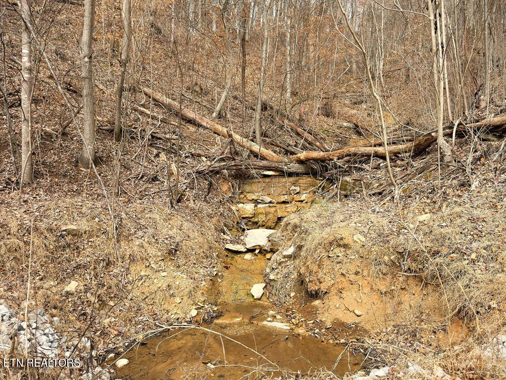 431 Bald Eagle Road Celina, TN 38551 - Photo 9 of 26 242745_8